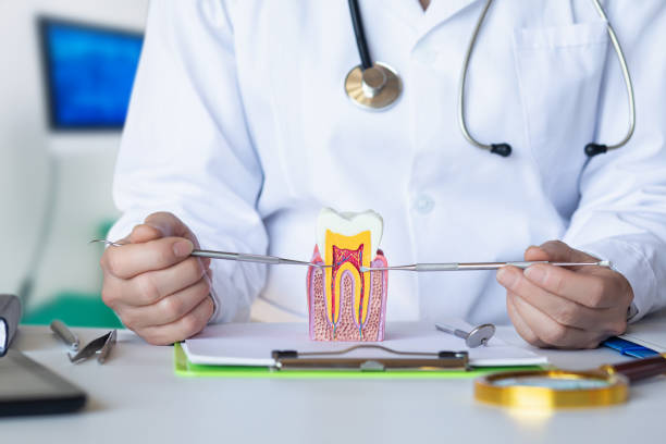 Best Emergency Dentist for Knocked-Out Tooth in West Leechburg, PA